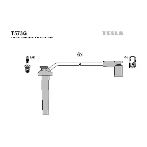 T 573 G TESLA