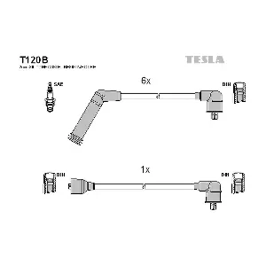 T120B TESLA