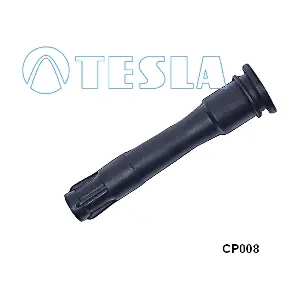 CP008 TESLA