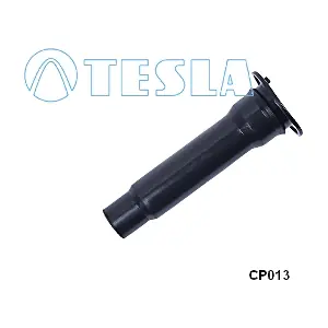 CP013 TESLA