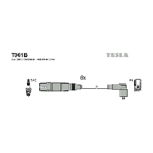 T061B TESLA