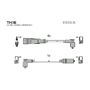 T043B TESLA
