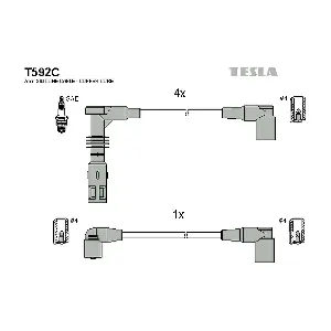 T 592 C TESLA