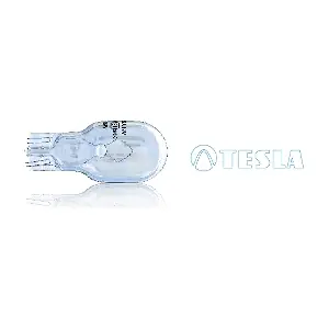 B66101 TESLA