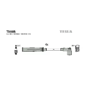 T898B TESLA