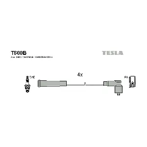 T600B TESLA