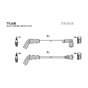 T138B TESLA