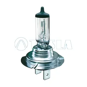 TESLA B10701