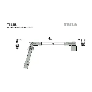 T862B TESLA