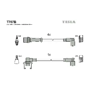 TESLA T707B
