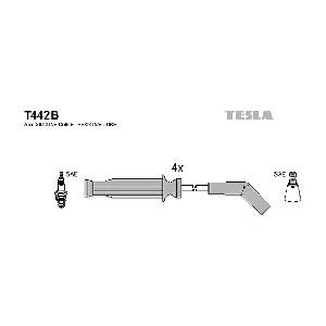 T 442 B TESLA