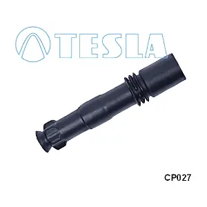 CP027 TESLA