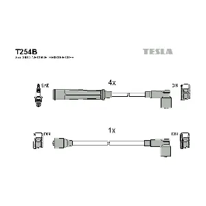 T254B TESLA