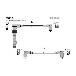 T012B TESLA