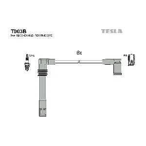 T003B TESLA