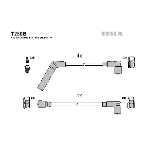 T250B TESLA