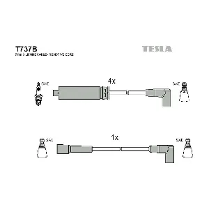 T 737 B TESLA
