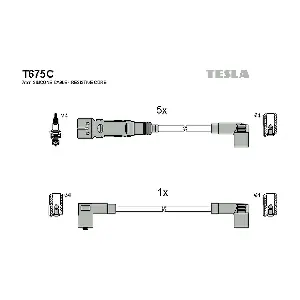 TESLA T675C