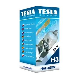 B10302 TESLA