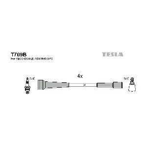 T709B TESLA