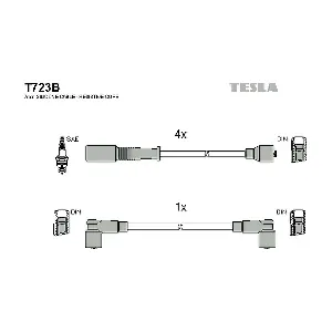 T723B TESLA