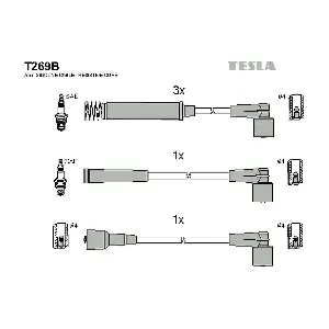 T269B TESLA