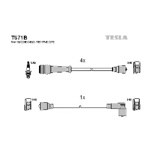 TESLA T671B