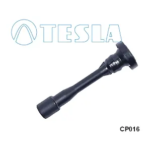 CP016 TESLA