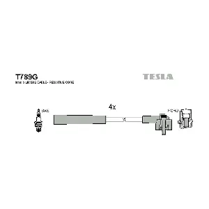 T 789 G TESLA