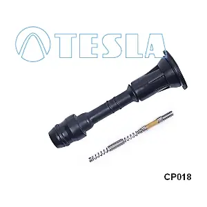 CP018 TESLA