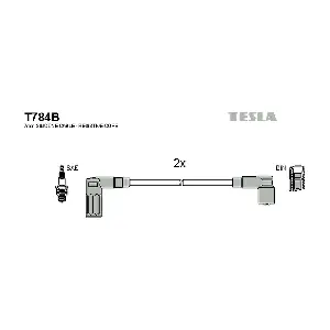 T784B TESLA