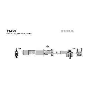 T 143 G TESLA