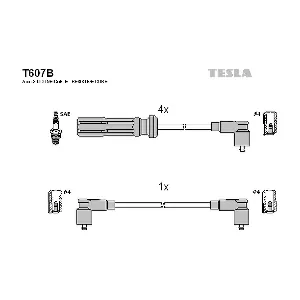 T607B TESLA