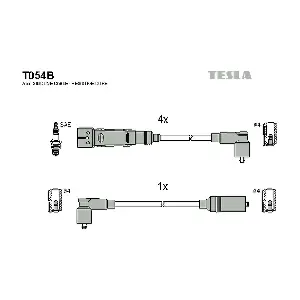 T054B TESLA