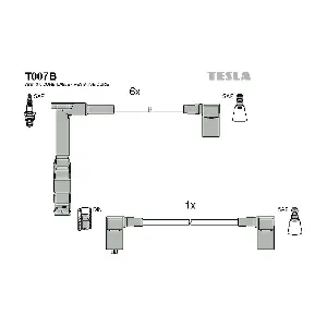 T007B TESLA