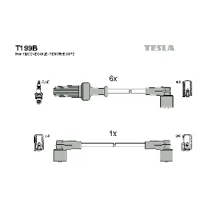 TESLA T199B