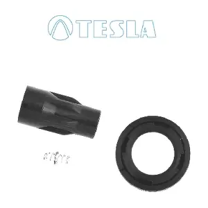 CP096 TESLA