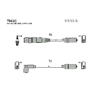 T843C TESLA