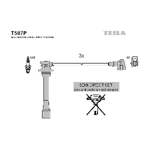 T587P TESLA