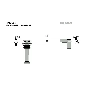 T972G TESLA