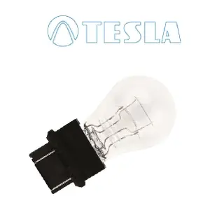 B77301 TESLA