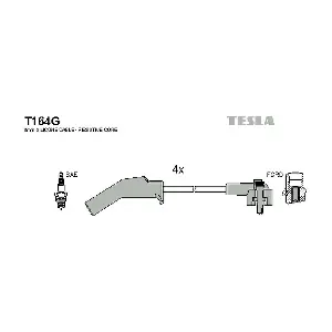 TESLA T164G