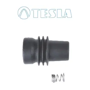 CP076 TESLA