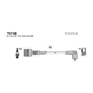 T879B TESLA