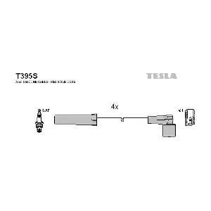 T395S TESLA