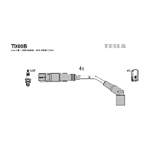 T080B TESLA