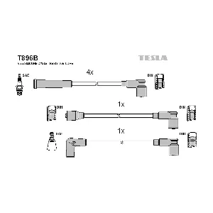TESLA T896B
