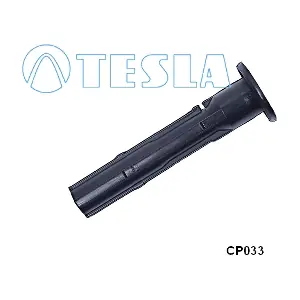 CP033 TESLA