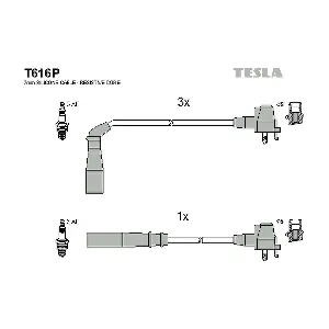 T616P TESLA