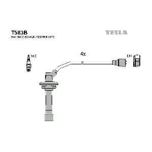 T583B TESLA